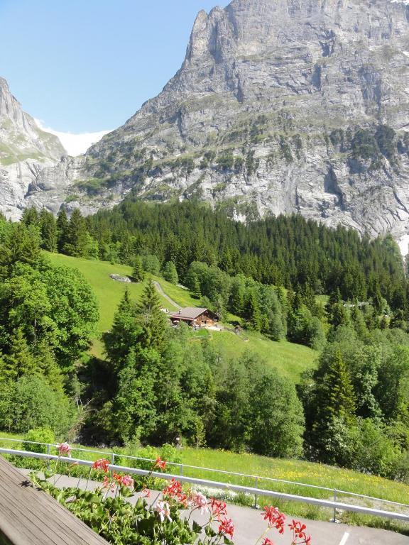 Hotel Bluemlisalp Гриндельвальд Экстерьер фото